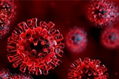 Coronavirus Resource Library
